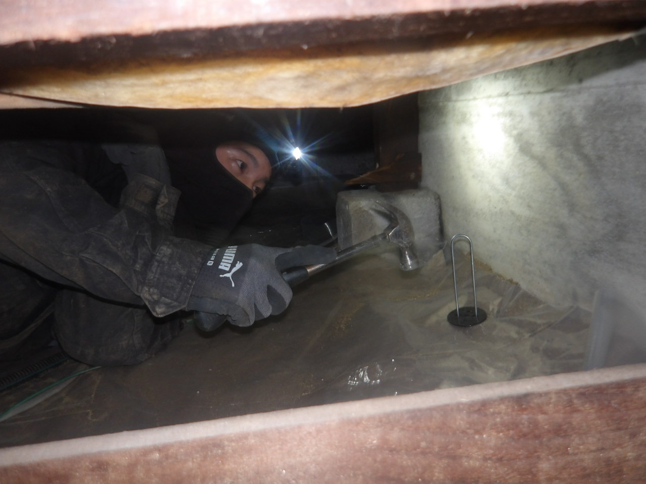 床下環境改善工事・シロアリ防除工事の画像